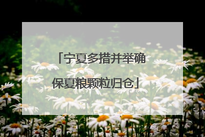 宁夏多措并举确保夏粮颗粒归仓