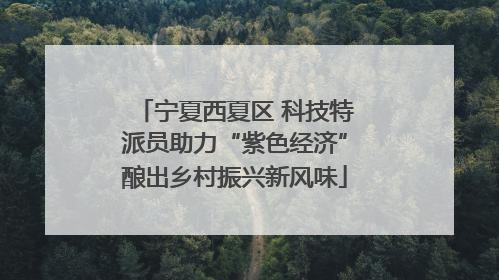 宁夏西夏区 科技特派员助力“紫色经济”酿出乡村振兴新风味