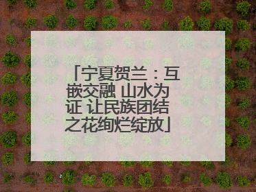宁夏贺兰：互嵌交融 山水为证 让民族团结之花绚烂绽放