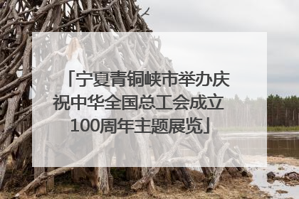 宁夏青铜峡市举办庆祝中华全国总工会成立100周年主题展览
