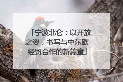 宁波北仑：以开放之姿，书写与中东欧经贸合作的新篇章