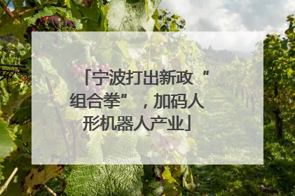 宁波打出新政“组合拳”，加码人形机器人产业