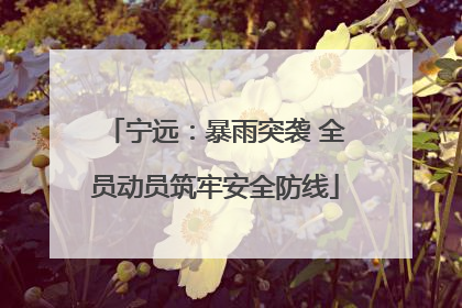宁远：暴雨突袭 全员动员筑牢安全防线