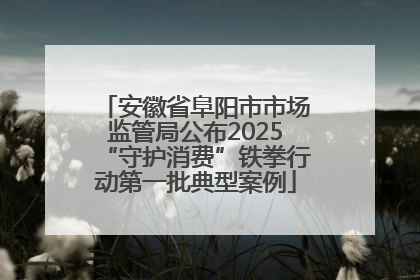 安徽省阜阳市市场监管局公布2025“守护消费”铁拳行动第一批典型案例