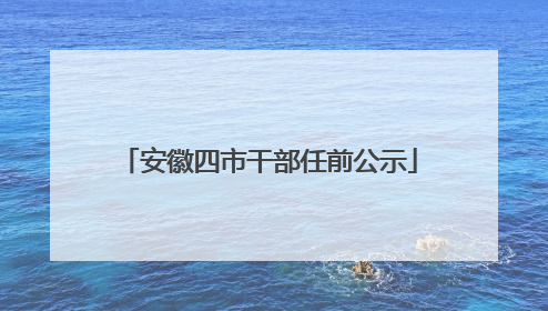 安徽四市干部任前公示