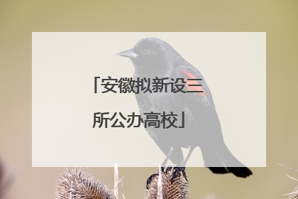 安徽拟新设三所公办高校