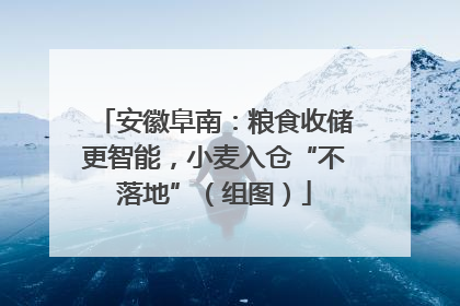 安徽阜南：粮食收储更智能，小麦入仓“不落地”（组图）