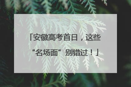 安徽高考首日，这些“名场面”别错过！