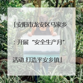 安阳市龙安区马家乡：开展“安全生产月”活动 打造平安乡镇