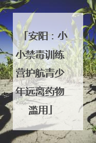 安阳：小小禁毒训练营护航青少年远离药物滥用