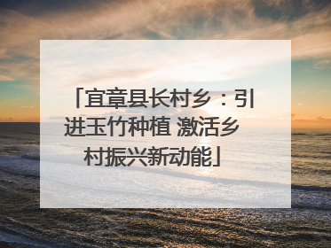 宜章县长村乡：引进玉竹种植 激活乡村振兴新动能