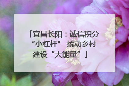 宜昌长阳：诚信积分“小杠杆” 撬动乡村建设“大能量”