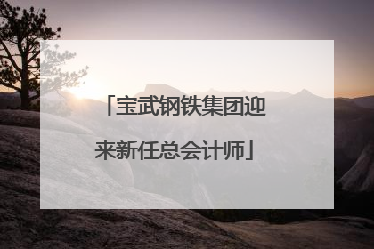 宝武钢铁集团迎来新任总会计师