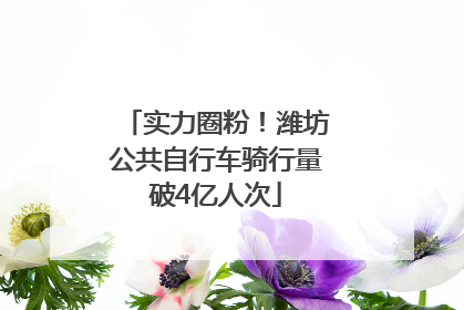 实力圈粉！潍坊公共自行车骑行量破4亿人次
