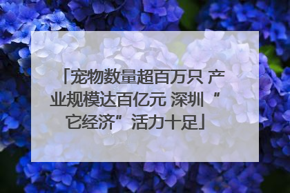 宠物数量超百万只 产业规模达百亿元 深圳“它经济”活力十足