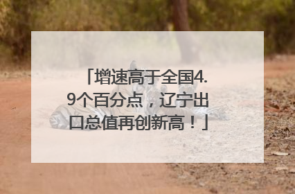 增速高于全国4.9个百分点，辽宁出口总值再创新高！