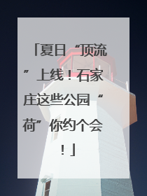 夏日“顶流”上线！石家庄这些公园“荷”你约个会！