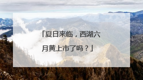 夏日来临，西湖六月黄上市了吗？
