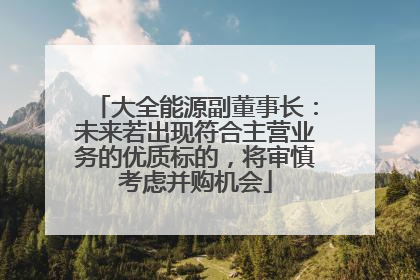 大全能源副董事长：未来若出现符合主营业务的优质标的，将审慎考虑并购机会