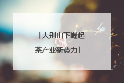 大别山下崛起茶产业新势力