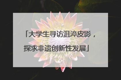 大学生寻访沮漳皮影，探求非遗创新性发展