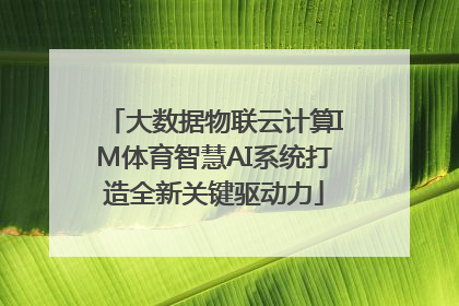 大数据物联云计算IM体育智慧AI系统打造全新关键驱动力