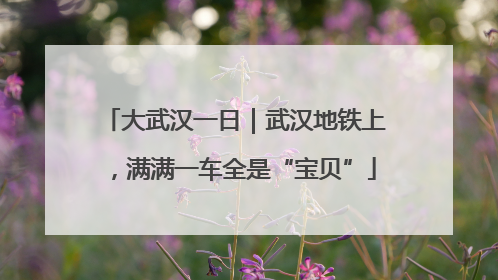 大武汉一日｜武汉地铁上，满满一车全是“宝贝”