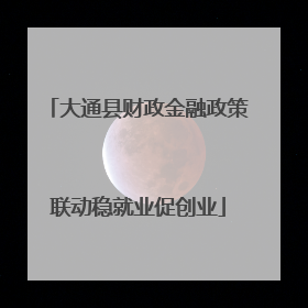 大通县财政金融政策联动稳就业促创业