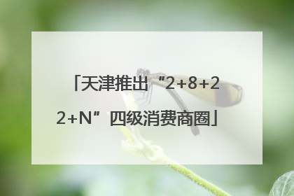 天津推出“2+8+22+N”四级消费商圈