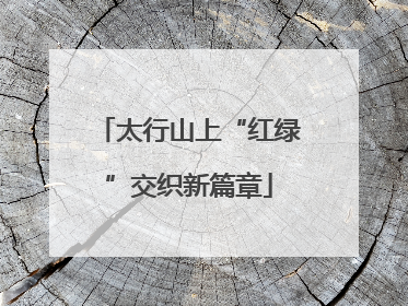 太行山上“红绿”交织新篇章