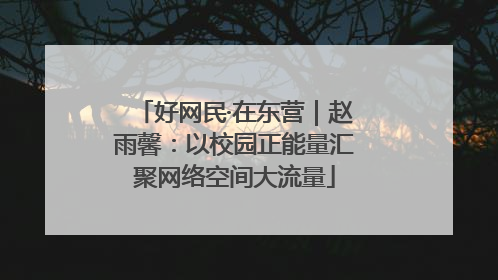 好网民·在东营｜赵雨馨：以校园正能量汇聚网络空间大流量