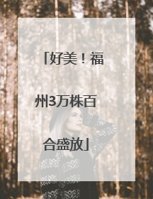 好美！福州3万株百合盛放