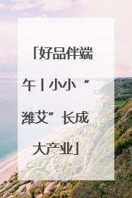 好品伴端午丨小小“潍艾”长成大产业