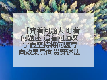 奔着问题去 盯着问题述 追着问题改 宁夏坚持将问题导向效果导向贯穿述法工作始终
