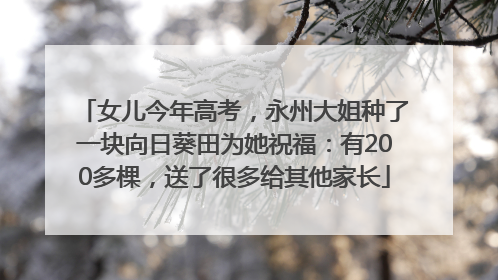 女儿今年高考，永州大姐种了一块向日葵田为她祝福：有200多棵，送了很多给其他家长
