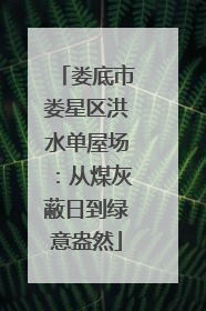 娄底市娄星区洪水单屋场：从煤灰蔽日到绿意盎然