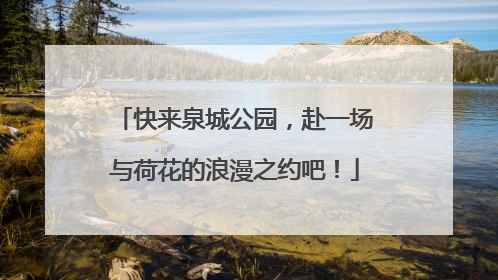 快来泉城公园，赴一场与荷花的浪漫之约吧！