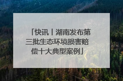 快讯丨湖南发布第三批生态环境损害赔偿十大典型案例