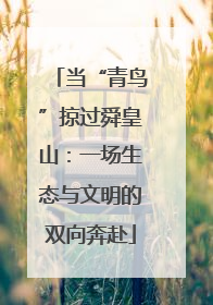 当“青鸟”掠过舜皇山：一场生态与文明的双向奔赴