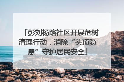 彭刘杨路社区开展危树清理行动，消除“头顶隐患”守护居民安全