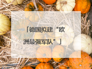德国拟建“欧洲最强军队”