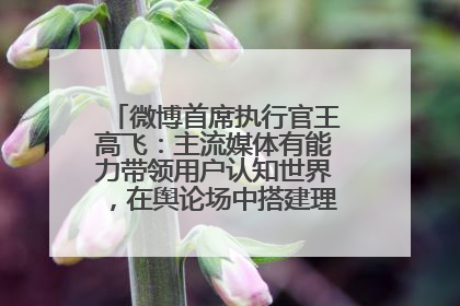 微博首席执行官王高飞：主流媒体有能力带领用户认知世界，在舆论场中搭建理性的讨论空间