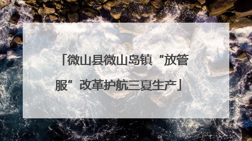 微山县微山岛镇“放管服”改革护航三夏生产