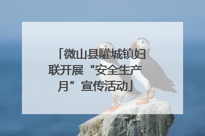 微山县驩城镇妇联开展“安全生产月”宣传活动
