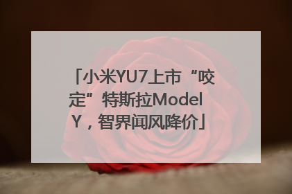 小米YU7上市“咬定”特斯拉Model Y，智界闻风降价