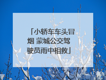 小轿车车头冒烟 蒙城公交驾驶员雨中相救