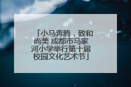 小马奔腾，致和尚美 成都市马家河小学举行第十届校园文化艺术节