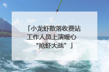 小龙虾散落收费站 工作人员上演暖心“抢虾大战”