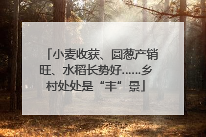 小麦收获、圆葱产销旺、水稻长势好……乡村处处是“丰”景