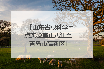 山东省眼科学重点实验室正式迁至青岛市高新区